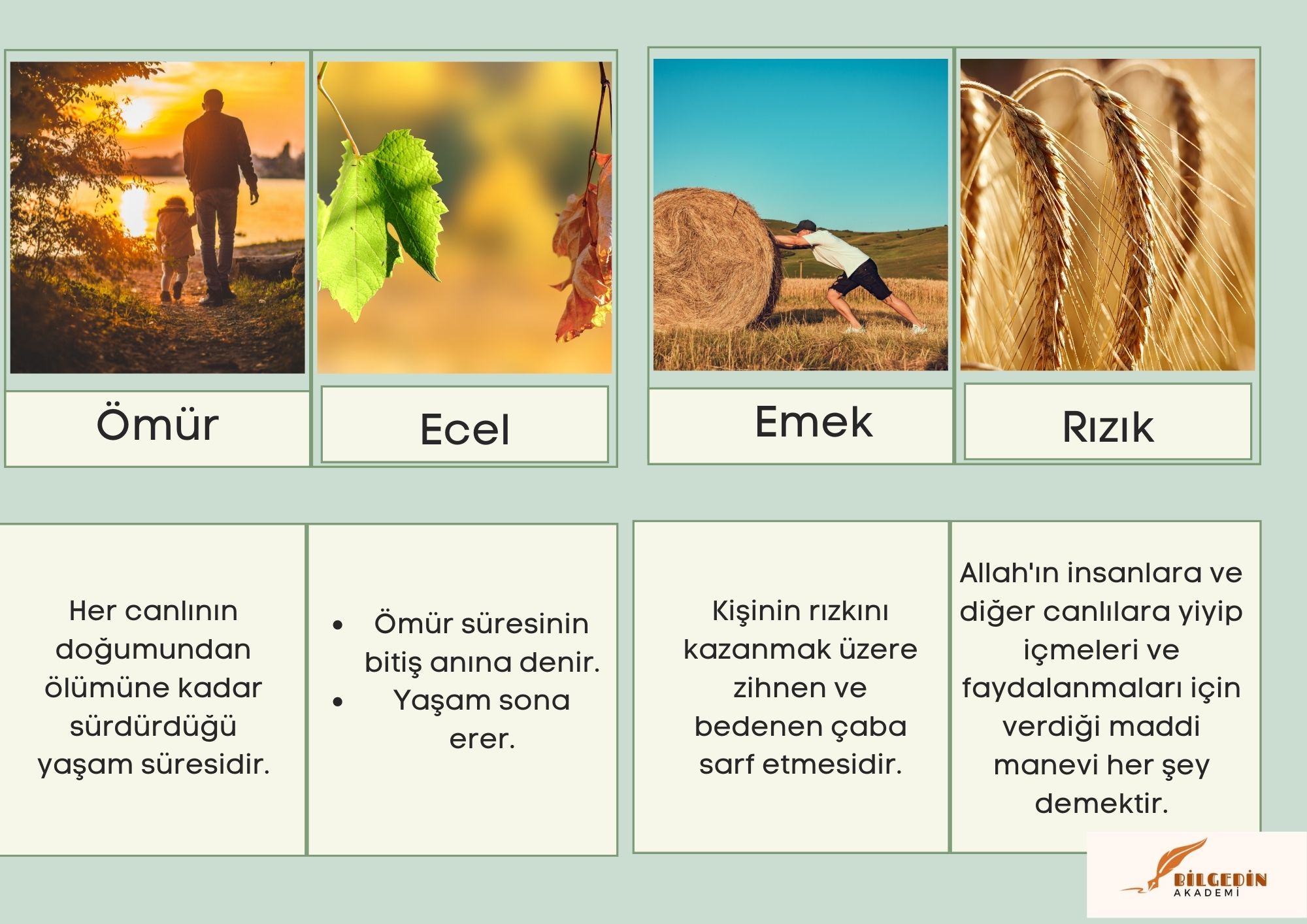 2 8. Sınıf "Konu Kavrama Kartları"