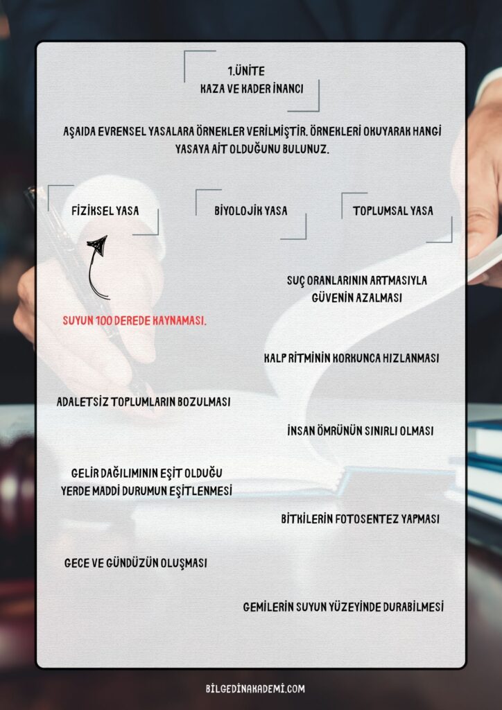 5-6-724x1024 8.Sınıf 1. Ünite Etkinlik Kitabı